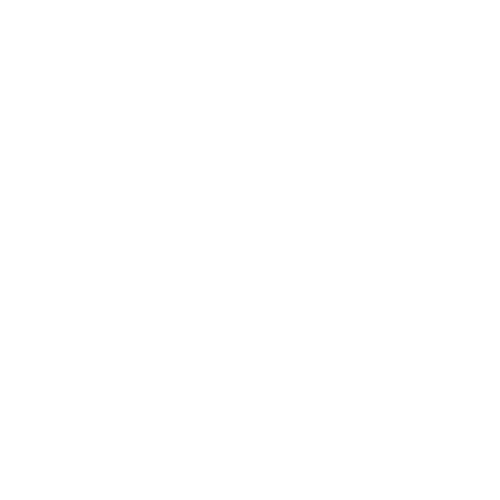 MEGAPIX HD