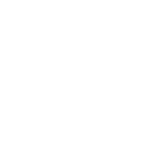 DISCOVERY H&H SD