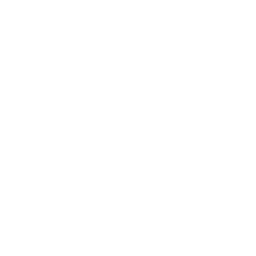 BIS FHD [H265]