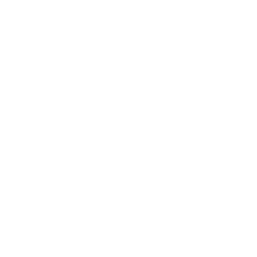 AMC SD