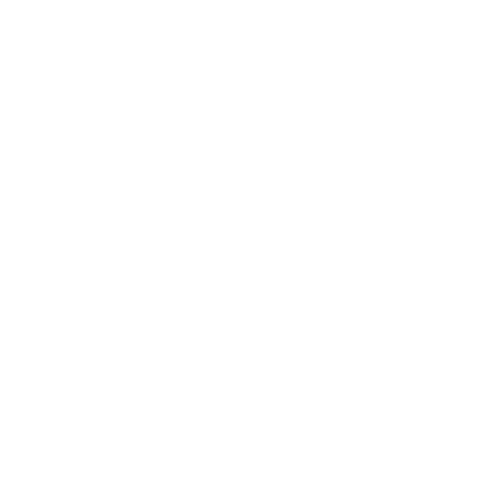 REDE BRASIL SD