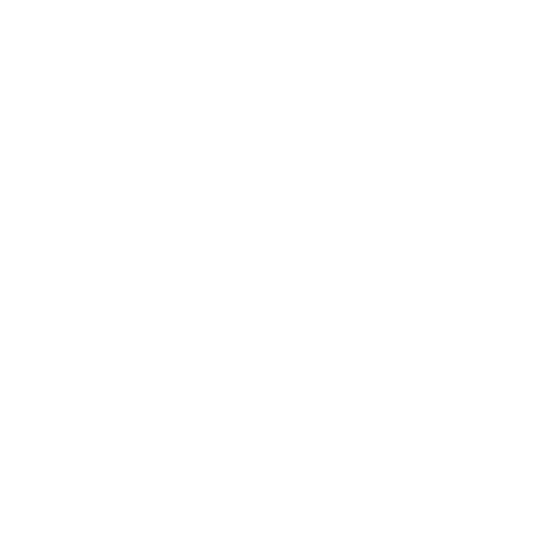 LIFETIME HD