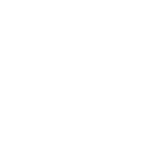 REDE VIDA SD