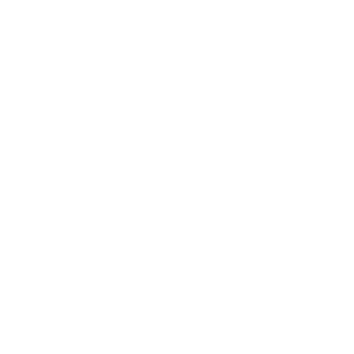 BANDSPORTS SD²