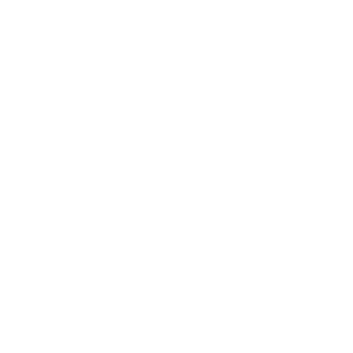 TV CAMARA SD