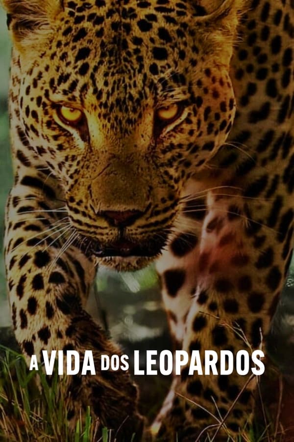 A VIDA DOS LEOPARDOS (2024)