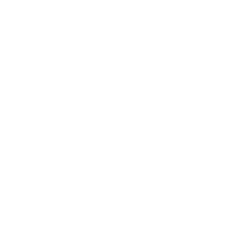 BOOMERANG FHD  [H265]