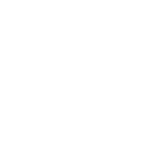 RECORD NEWS HD
